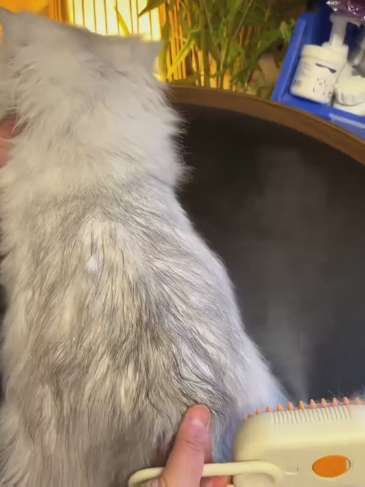 Pawspa